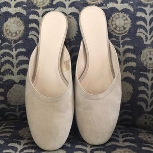 Everlane suede mule